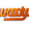 Woody's Ski Protectors for Ski-Doo Pilot Skis-3