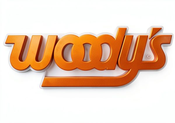 Woody's Ski Protectors for Ski-Doo Pilot Skis-3